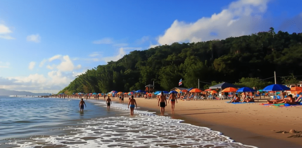 praia ponta das canas floripa praia ponta das canas floripa